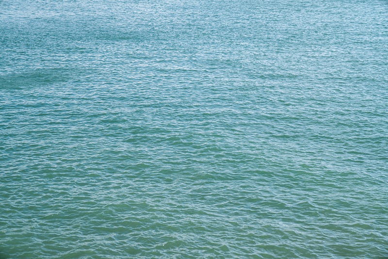 《奧義書》節選 — 『你就是那個！』 | 宗教與神話