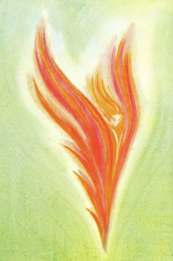 illustration