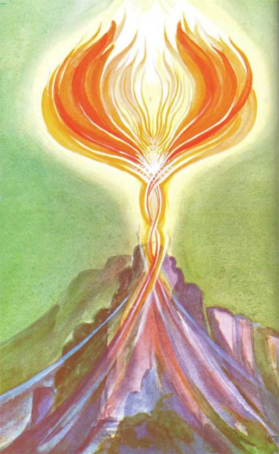 illustration
