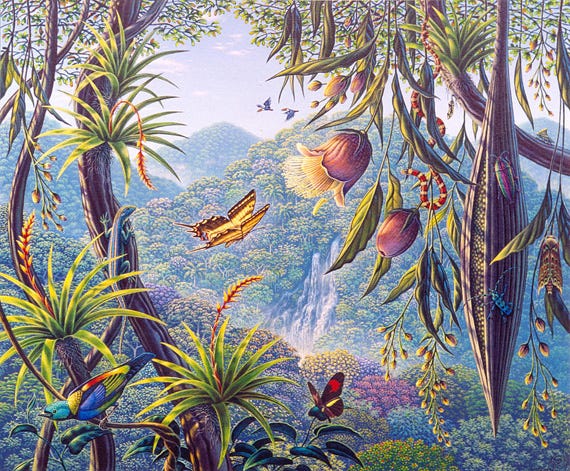 illustration