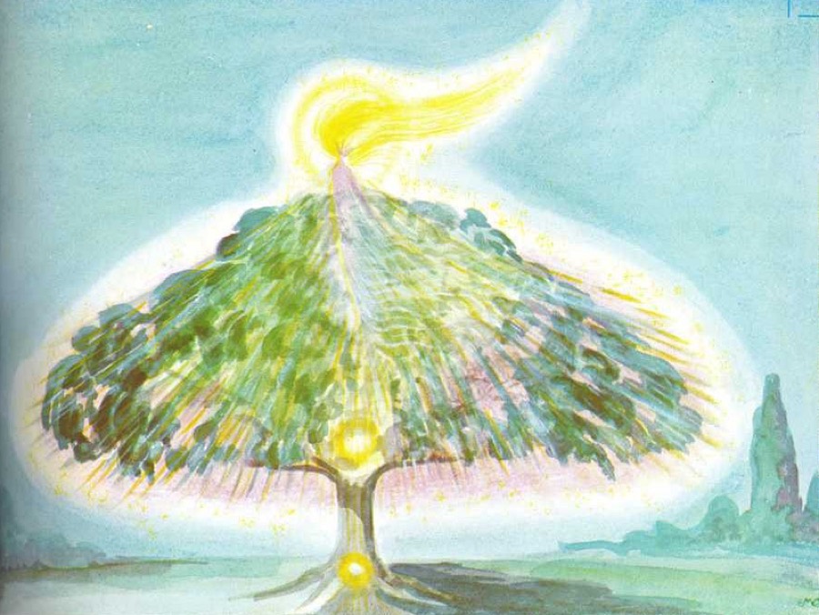 illustration