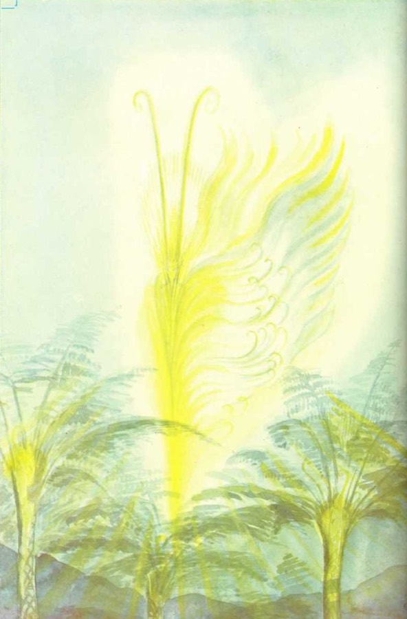 illustration